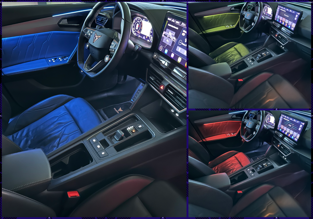 cupra22